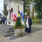 zdjęcie nr 9
