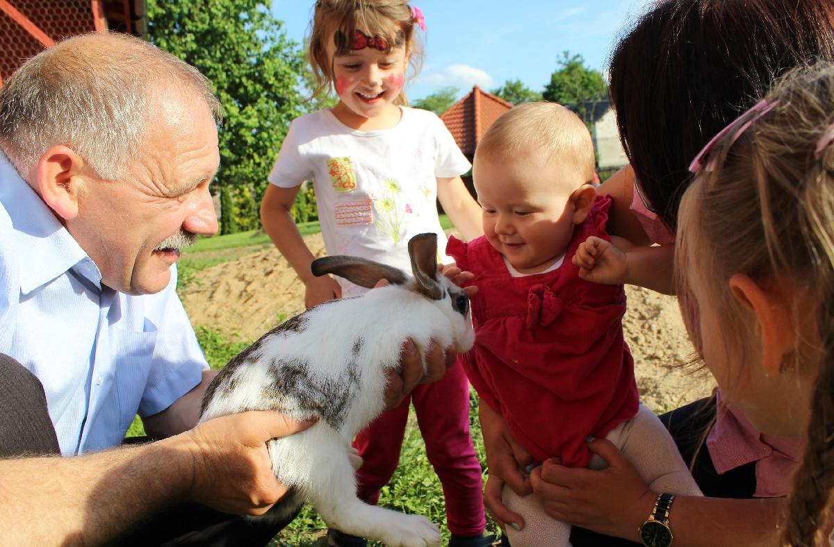 Kaszubska Zagroda "Pod Ptasią...