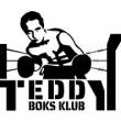 Klub Sportowy TEDDY BOKS KLUB w Leźnie