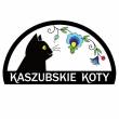 Kaszubskie Koty