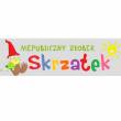 Niepubliczny Żłobek Skrzatek Sierakowice
