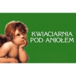 Kwiaciarnia POD ANIOŁEM Majkowska Elżbieta