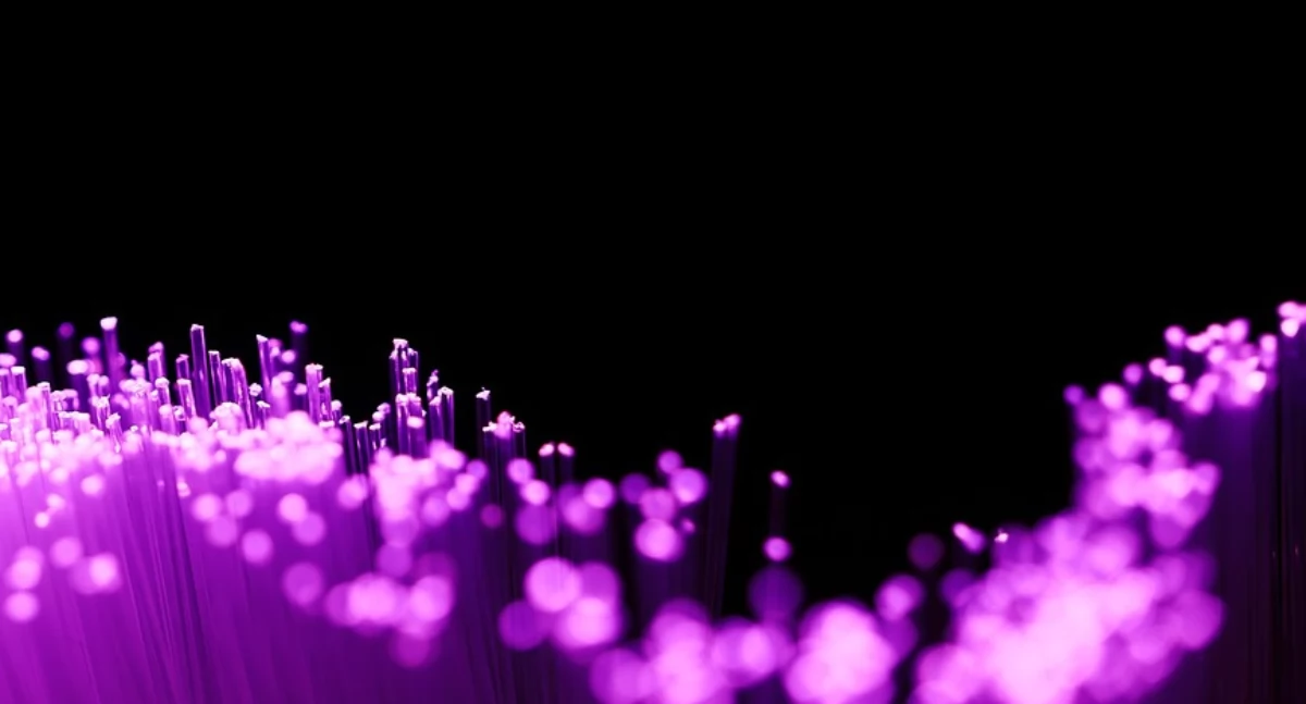 fot. pixabay.com
