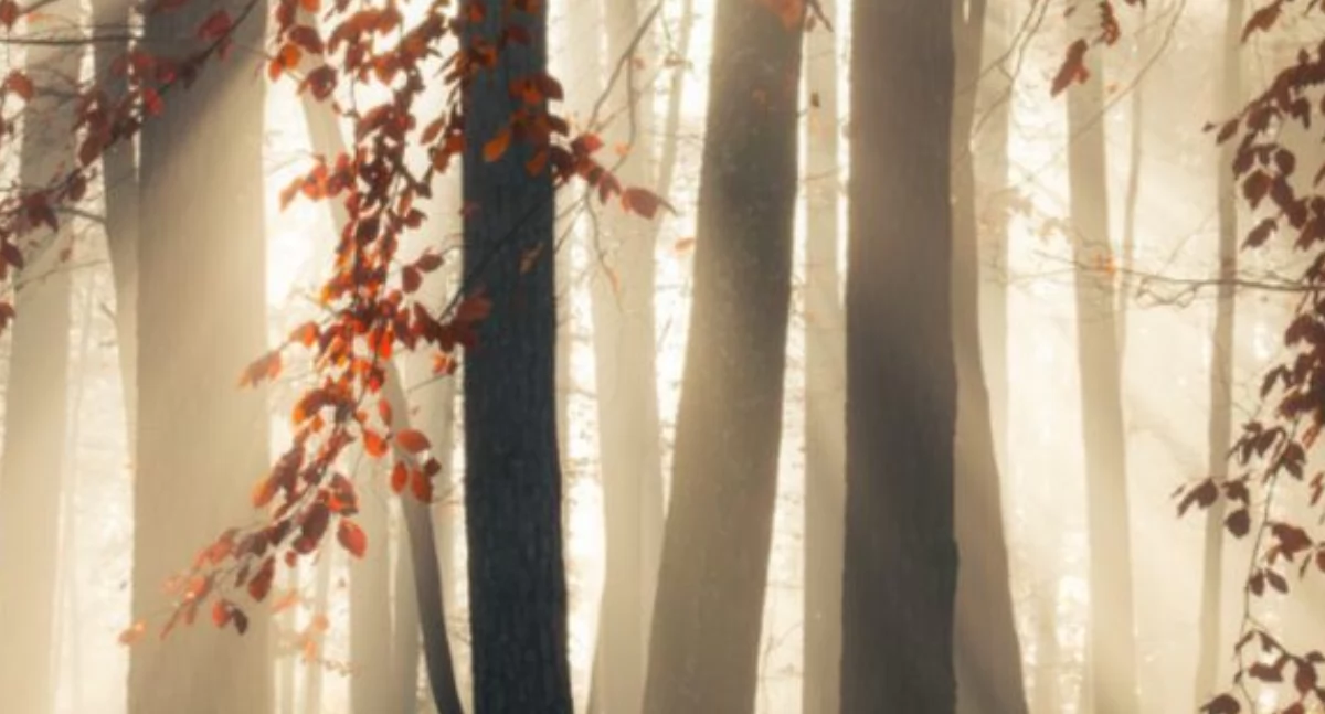 Zapowiedzi, Sulęczyno Fotografia Igers Kaszuby wyciągnięcie ręki - zdjęcie, fotografia