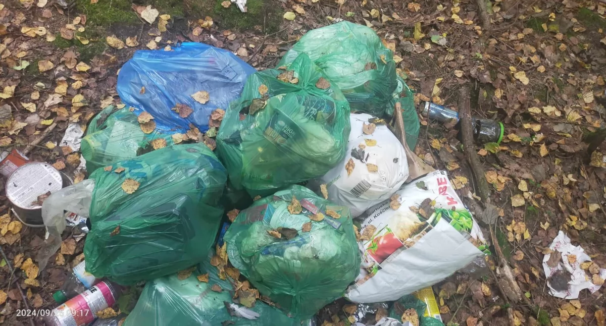 Interwencje, Łapalice Wyrzucił śmieci razem danymi osobowymi - zdjęcie, fotografia