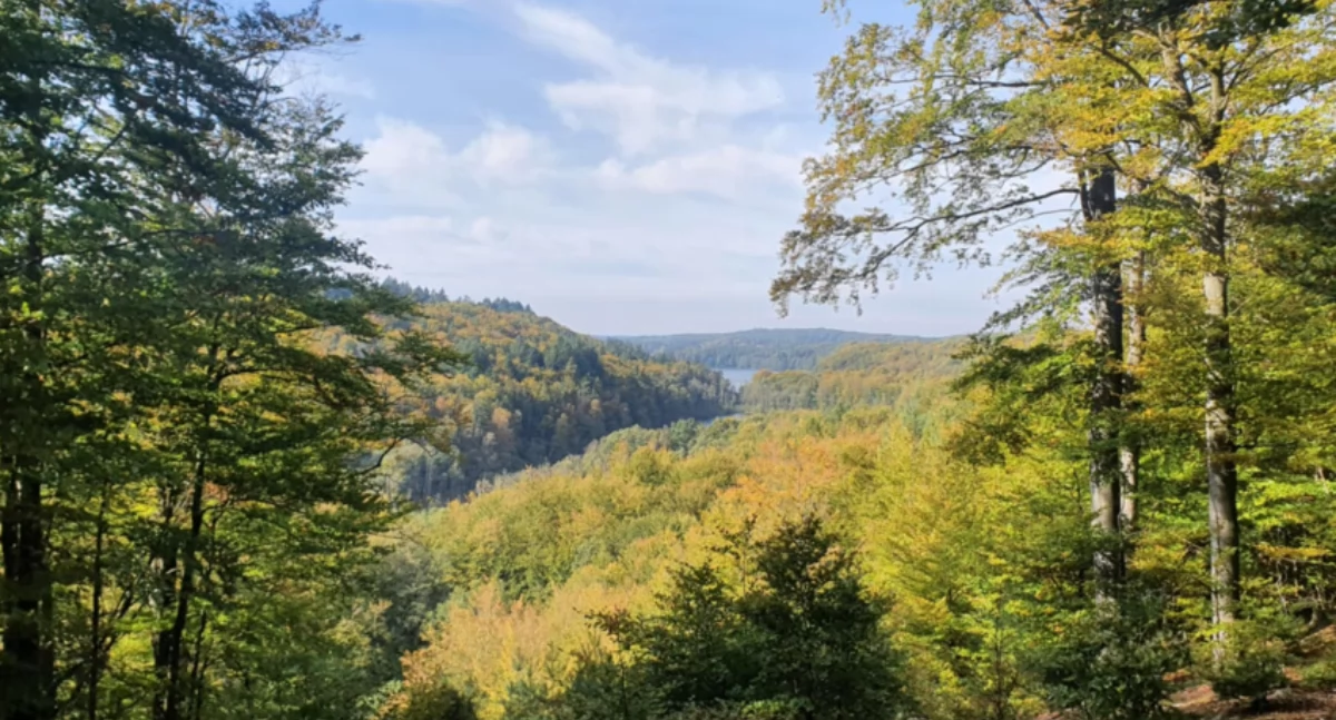 fot. UG Kartuzy