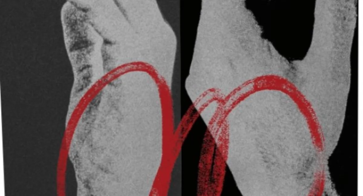 Zapowiedzi, Kartuzy Spektakl teatralny Przez ścianę głęboka opowieść miłości przetrwaniu - zdjęcie, fotografia