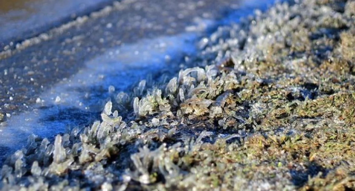 Służby w akcji, Stężyca drogi będą odśnieżane pierwszej kolejności - zdjęcie, fotografia