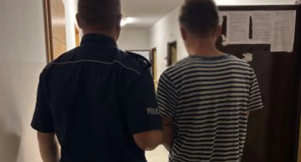 Kronika policyjna, areszt latka zarzutami - zdjęcie, fotografia