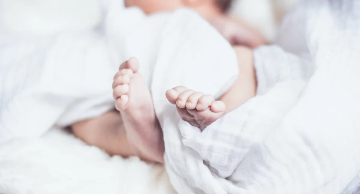 Styl życia, statystykach Kartuzy wiele mniej urodzeń rekordowo dużo zgonów - zdjęcie, fotografia