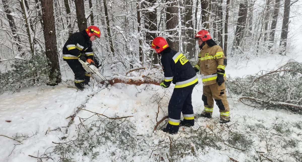 Ostrzeżenia pogodowe, Śnieżyce dają znaki mieszkańcom ponad strażackich interwencji ponad odbiorców prądu - zdjęcie, fotografia