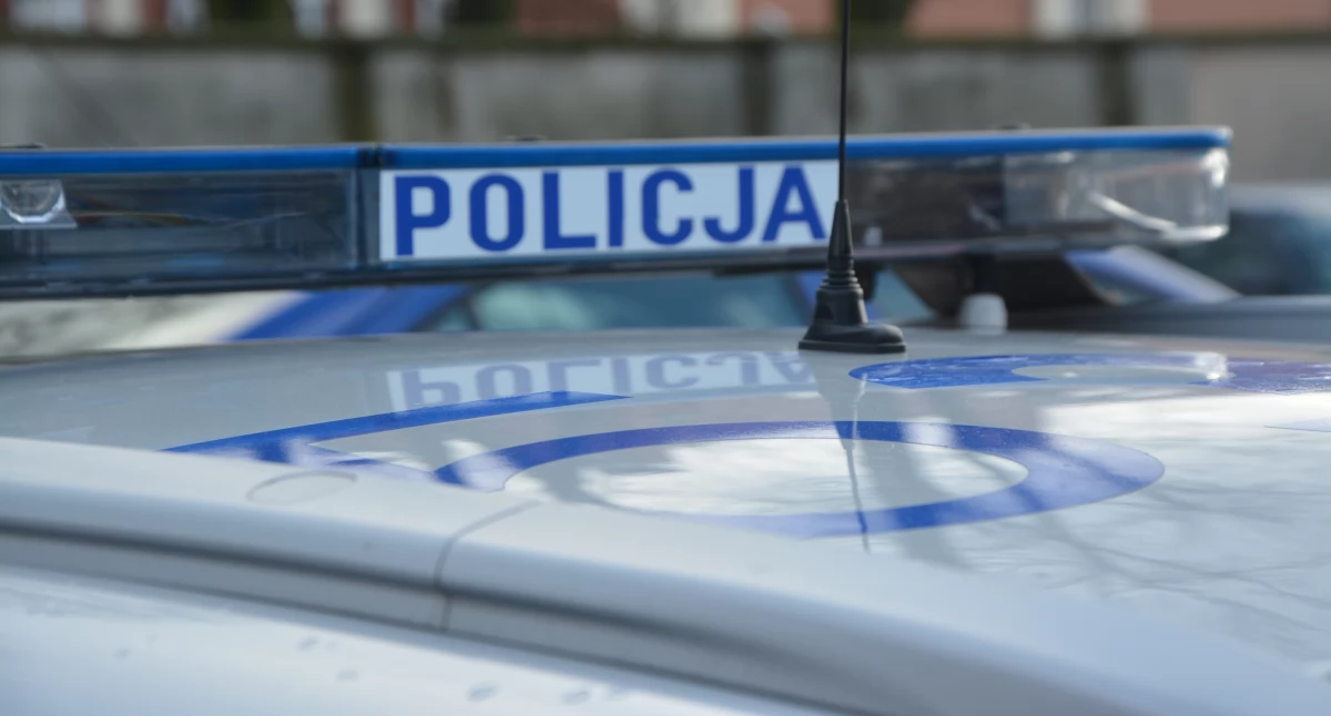 Kronika policyjna, Kartuzy bieliźnie ukrył znaczną ilość narkotyków - zdjęcie, fotografia