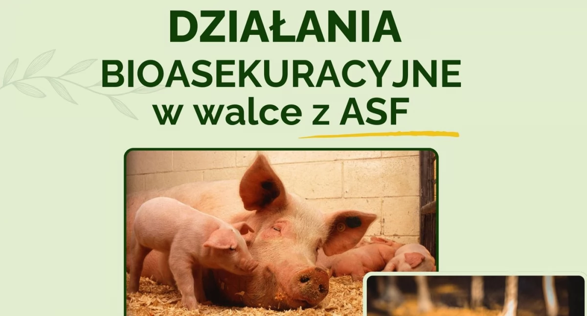 Rolnictwo, Kartuzy Szkolenie Działania bioasekuracyjne walce - zdjęcie, fotografia