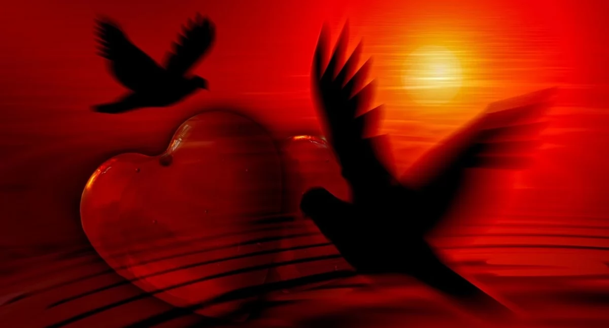 fot. pixabay.com