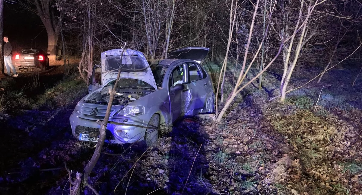 Wypadki, Puzdrowo Łyśniewo Citroen trójką młodych osób uderzył drzewo - zdjęcie, fotografia