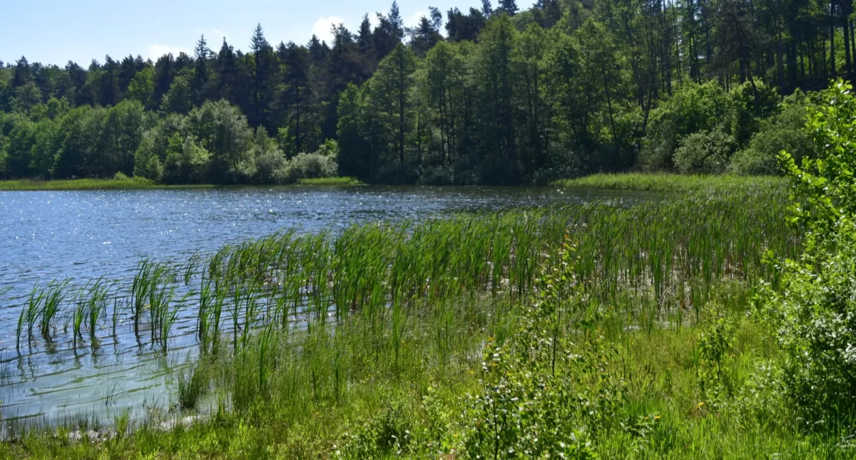 fot. UG Kartuzy