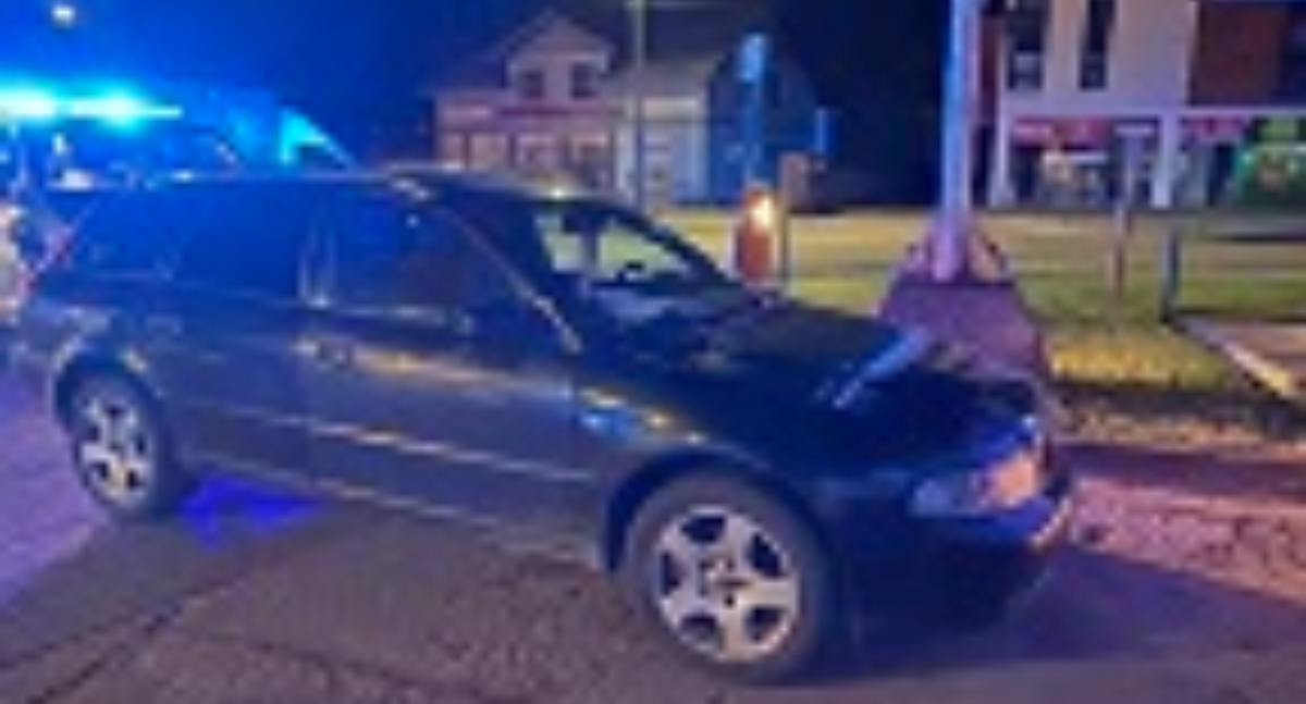Kronika policyjna, Zdradziło nerwowe zachowanie dwóch odurzonych kierujących rękach policjantów - zdjęcie, fotografia