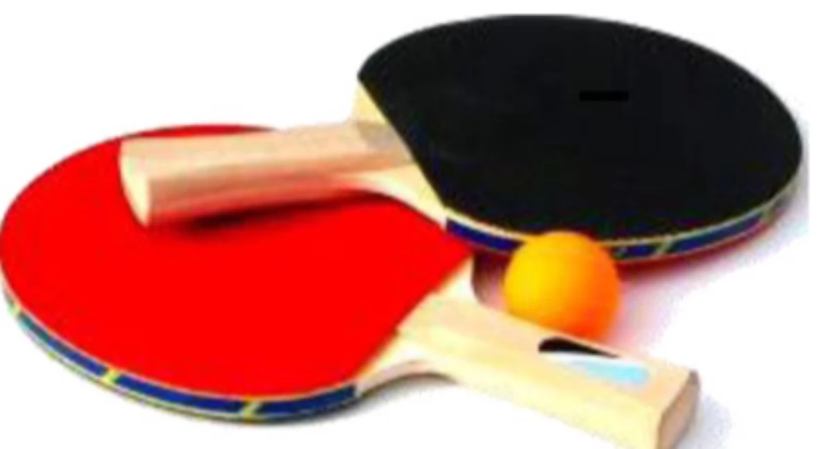 Tenis, Rakietki dłoń! Uczniowie szkół podstawowych zmierzą Miechucinie - zdjęcie, fotografia
