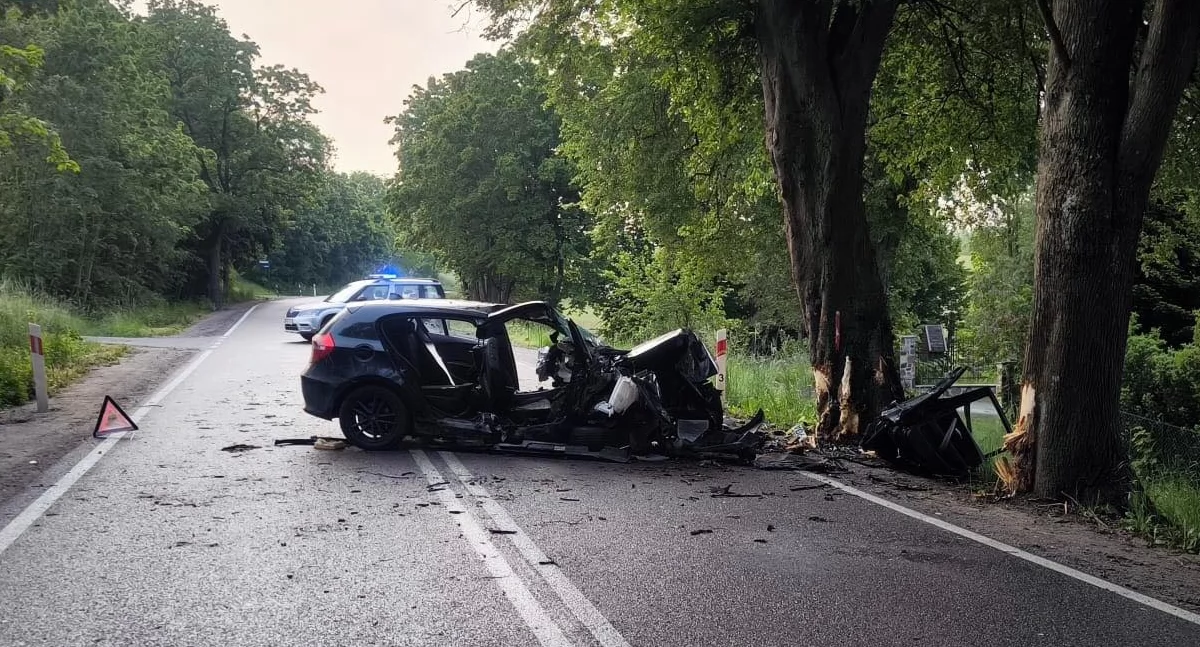 Wypadki, uderzyło drzewo latka nieprzytomna dwoje latków szpitalu - zdjęcie, fotografia