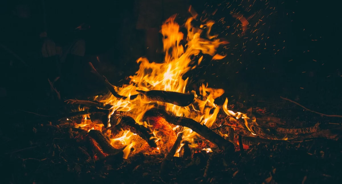 fot. pixabay.com