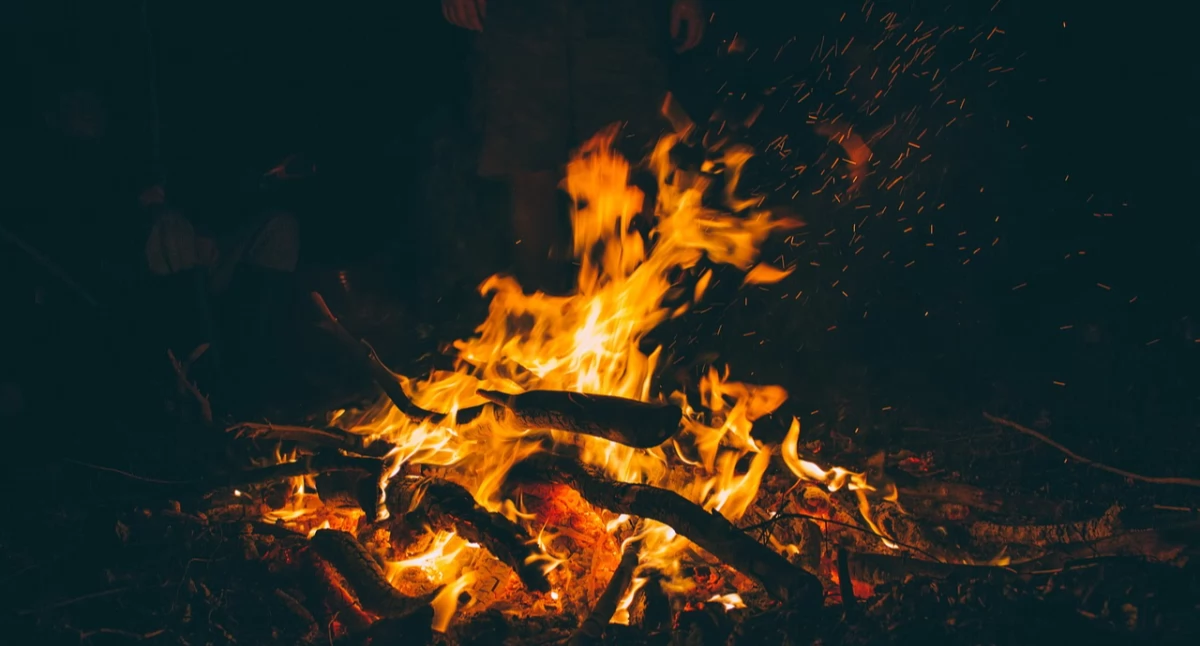 fot. pixabay.com