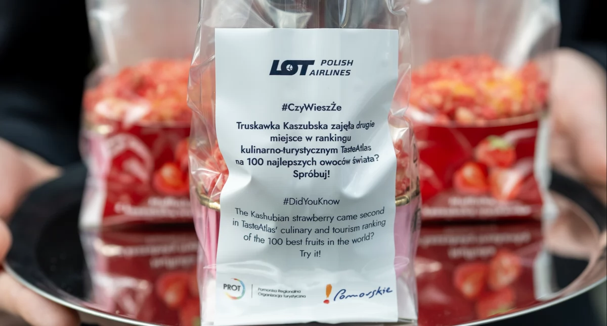 Rozmaitości, Kaszubska truskawka ambasadorką Pomorza wysokościach lotnicza promocja regionalnych smaków - zdjęcie, fotografia
