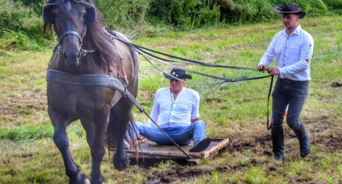 Zapowiedzi, Konie Radunią rodzinne święto końską dawką emocji - zdjęcie, fotografia