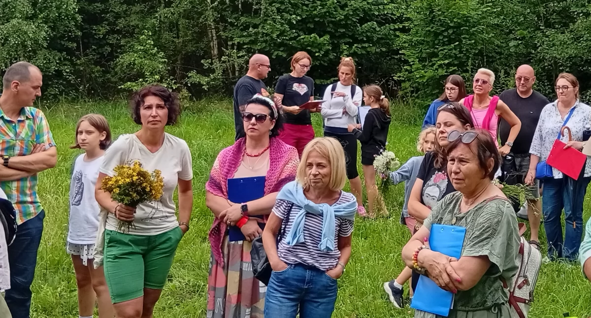 Rozmaitości, Spacer misją cztery drzewa Skrzeszewie mogą stać pomnikami przyrody - zdjęcie, fotografia