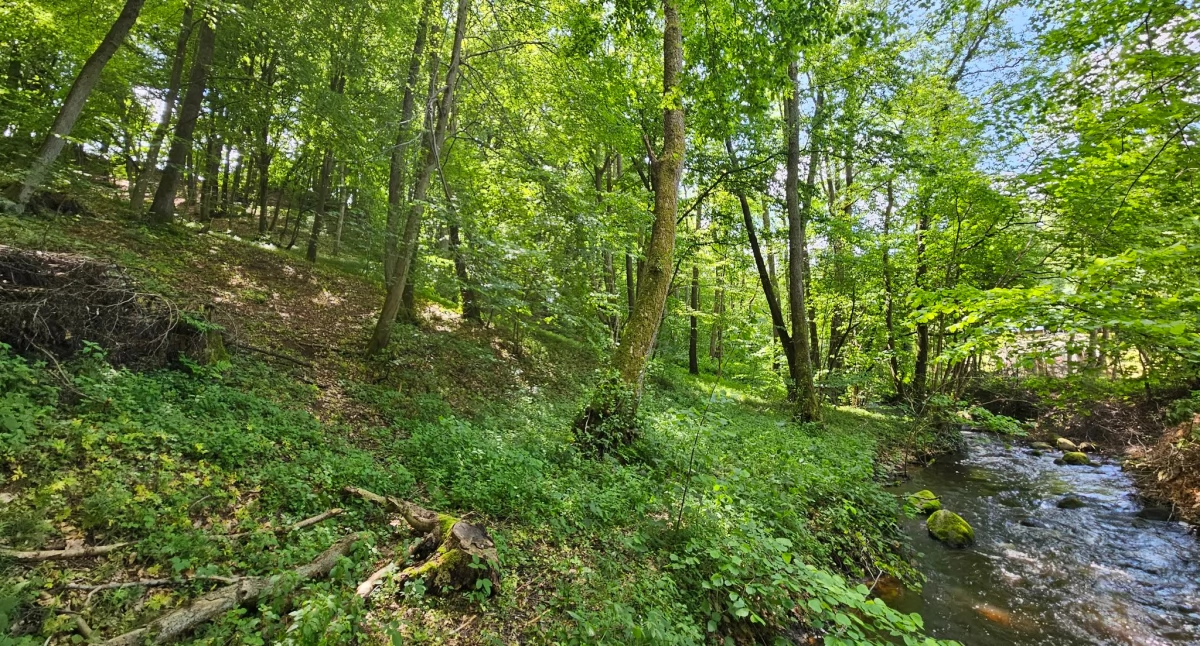 Ochrona środowiska i ekologia, Wilgotne łąki torfowiska owady ochroną rezerwat gminie Kartuzy - zdjęcie, fotografia