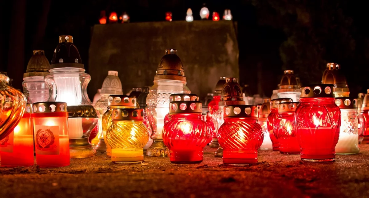 Źródło fot.: pixabay.com Licencja: https://pixabay.com/pl/service/license