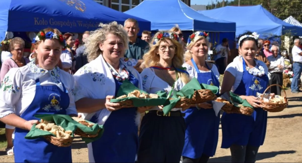Zapowiedzi, Weekend znakiem dożynek biesiady kaszubskiej festiwalu talentów festynów - zdjęcie, fotografia