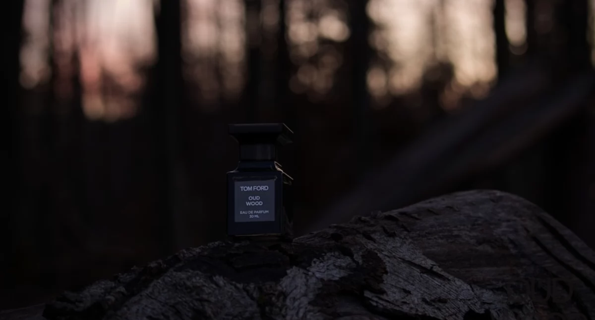 Źródło zdjęcia: unsplash.com Licencja: https://unsplash.com/license