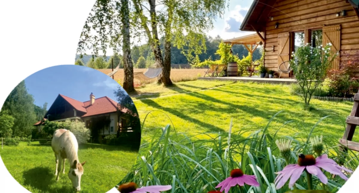 Rolnictwo, Wymiana wiedzy doświadczeń przykładzie pomorskich gospodarstw agroturystycznych Konferencja Lubaniu - zdjęcie, fotografia