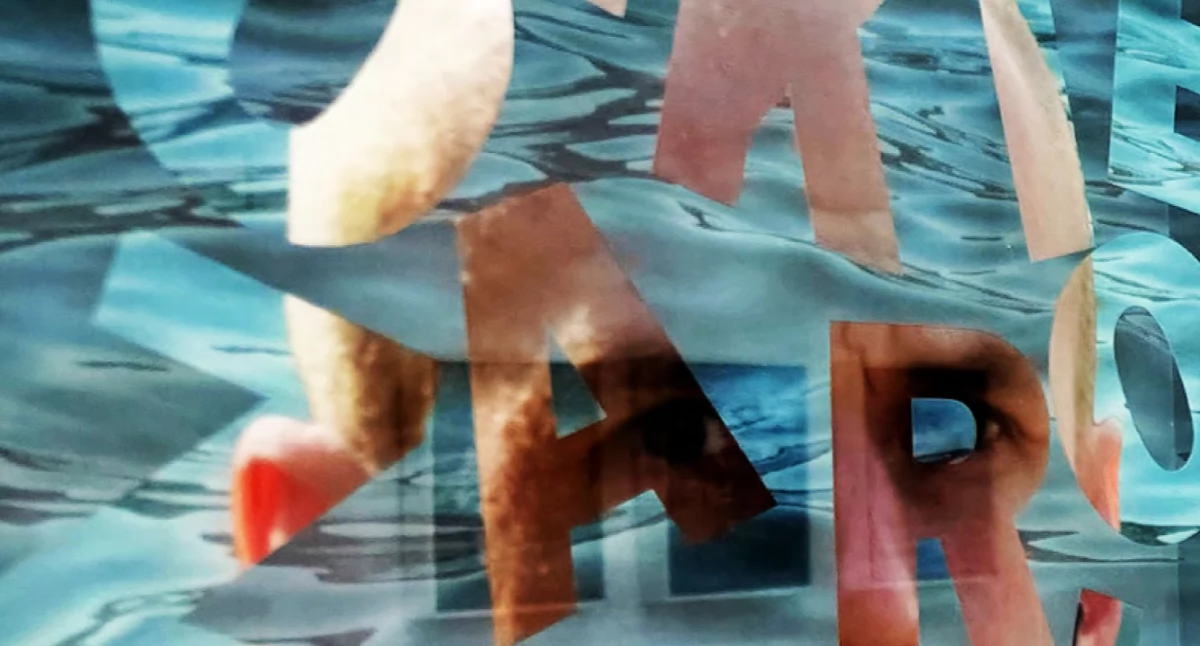 Zapowiedzi, mówi twarz Wernisaż wystawy Przemysława Łopacińskiego kartuskim Refektarzu - zdjęcie, fotografia