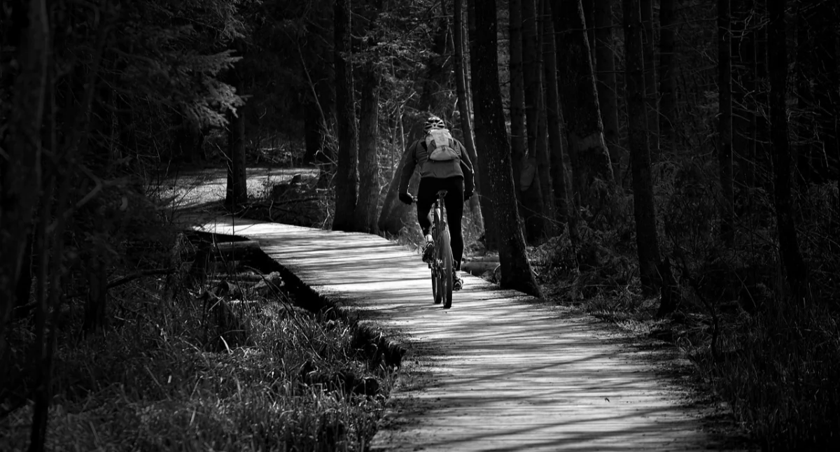 Wieści z samorządów, Powiat kartuski zaprasza mieszkańców współtworzenia koncepcji rowerowych - zdjęcie, fotografia