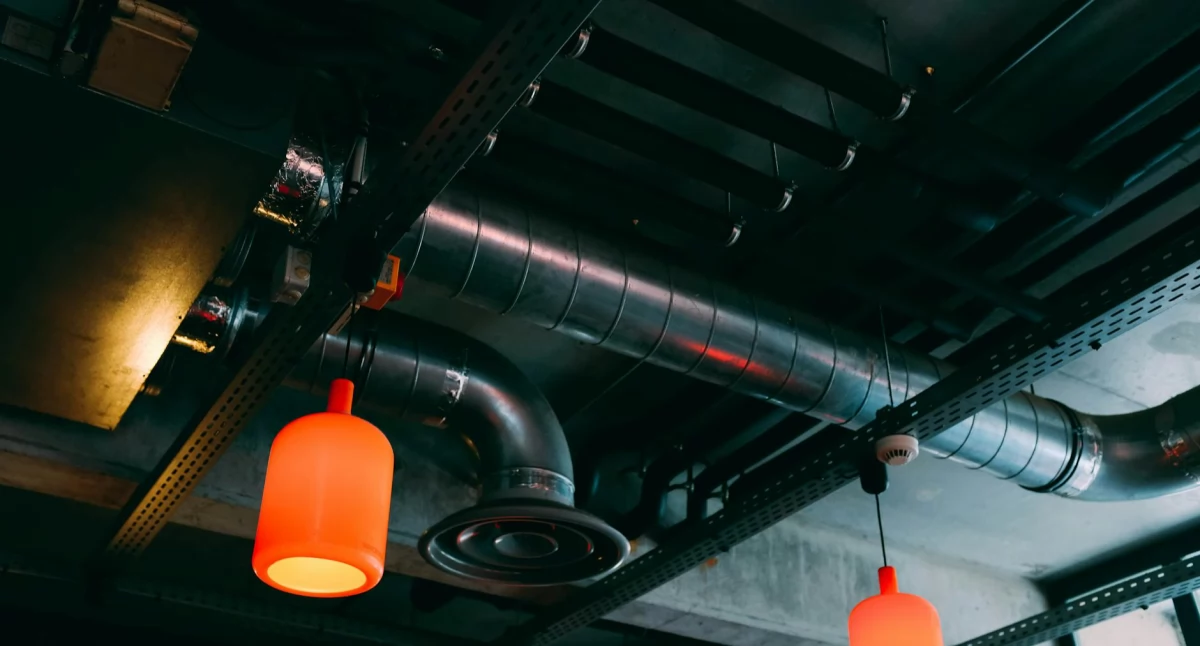 Źródło zdjęcia: pexels.com Licencja: https://www.pexels.com/photo-license/