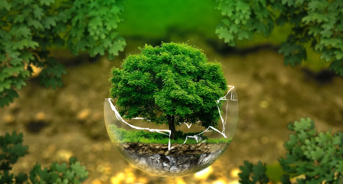 fot. pixabay.com