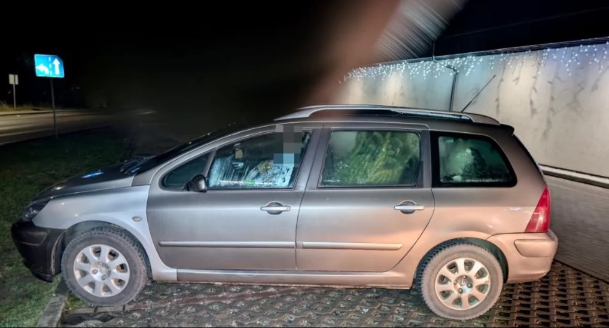 Kronika policyjna, Ukradł choinki pijany odjechał samochodem - zdjęcie, fotografia