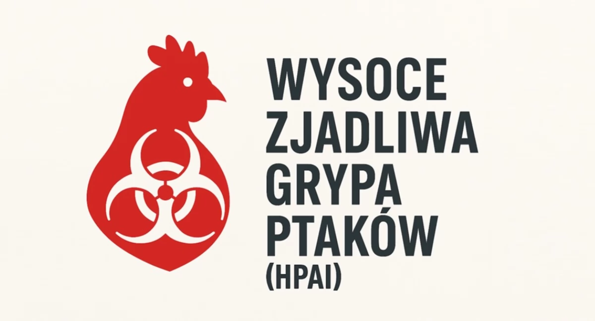 Służby w akcji, Ptasia grypa powiecie Wojewoda rozszerza obszar zagrożony - zdjęcie, fotografia