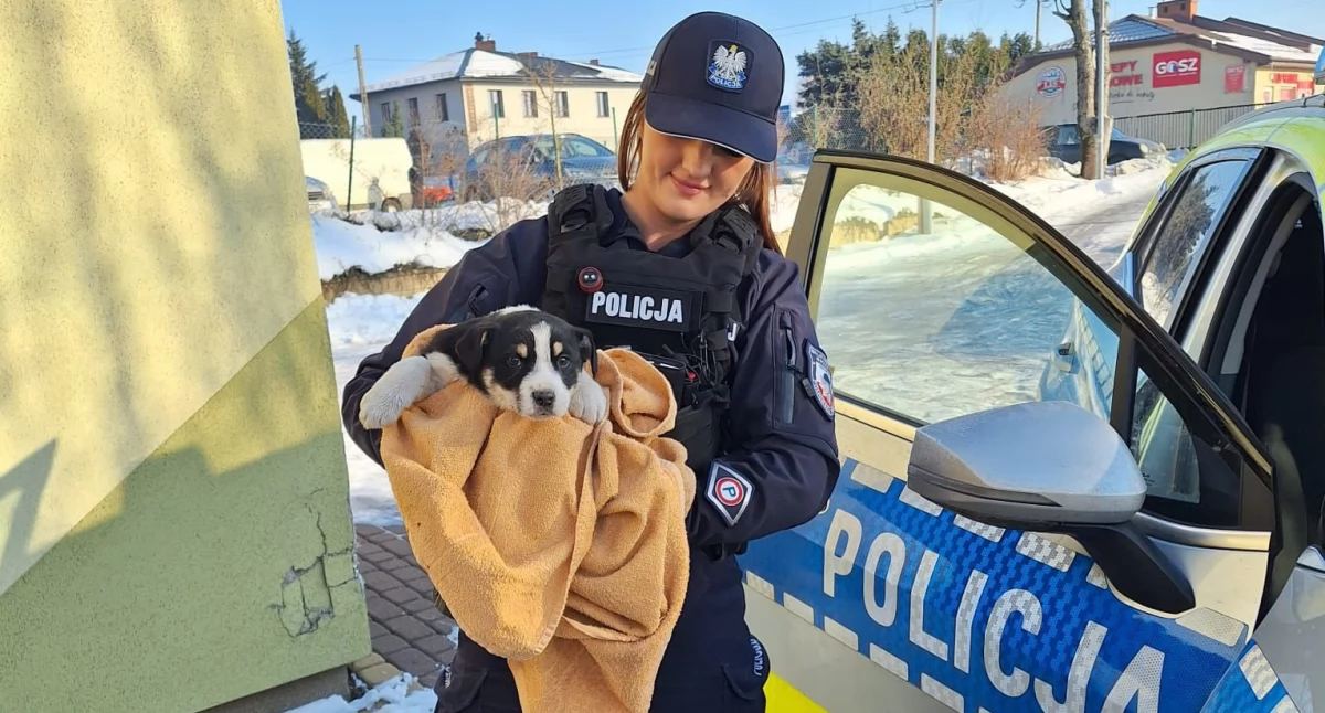 Kronika policyjna, Nieobojętność ratuje życie Szczeniak uratowany dzięki szybkiej reakcji mieszkańców policji - zdjęcie, fotografia