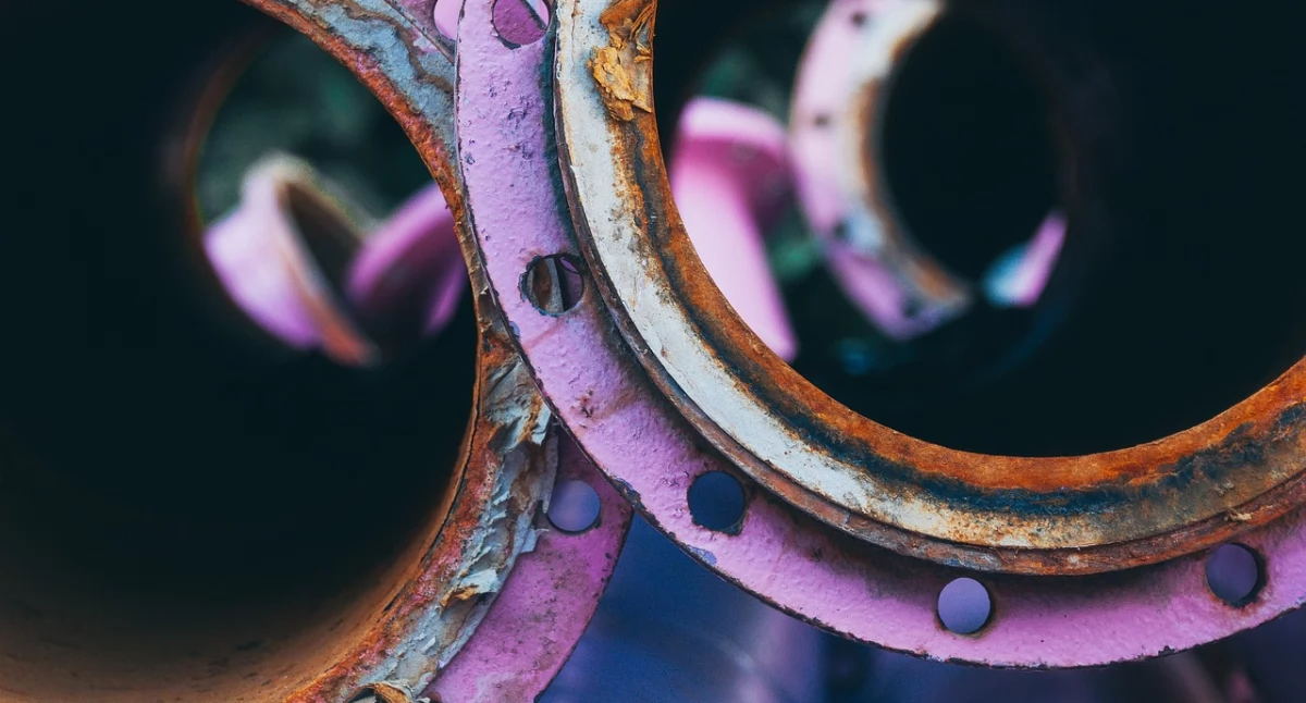 Źródło zdjęcia: pixabay.com Licencja: https://pixabay.com/pl/service/license