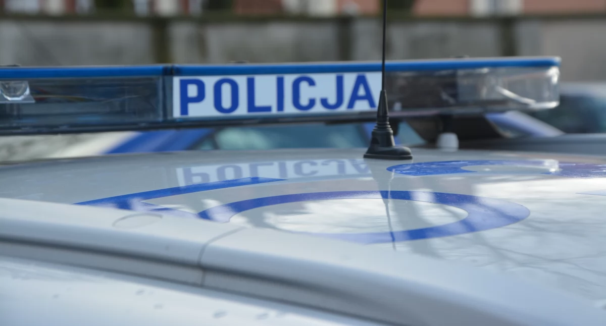 Kronika policyjna, Jechali wpływem narkotyków Dwóch kierowców zatrzymanych Kartuzach Żukowie - zdjęcie, fotografia