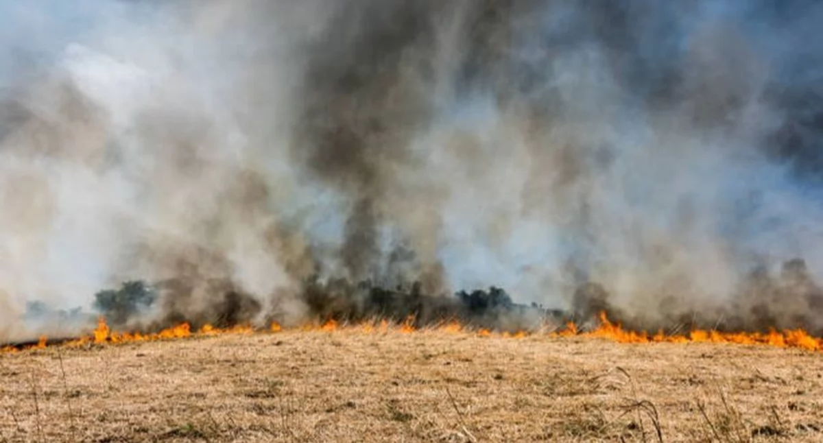 Służby w akcji, Strażacy walczą pożarami Służby apelują wypalanie karalne! - zdjęcie, fotografia