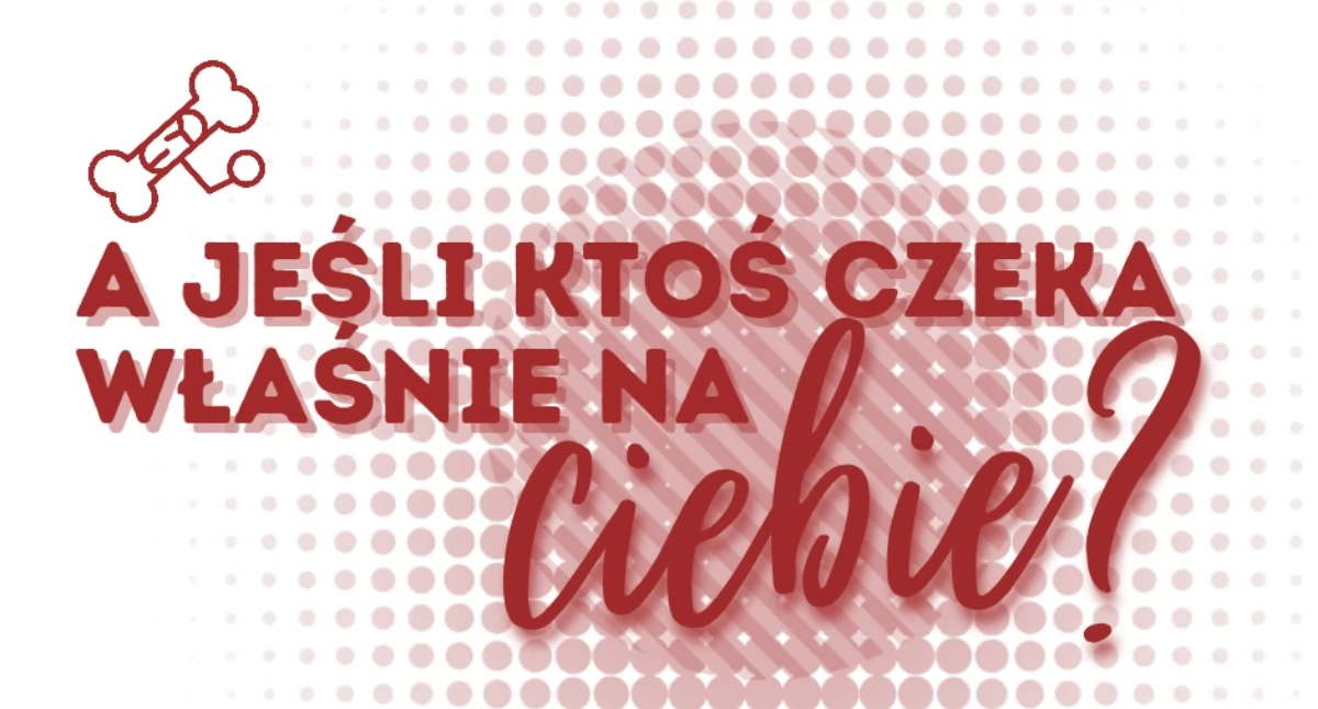 Akcje społeczne i charytatywne, „My pomagamy Akcja krwiodawstwa rejestracji dawców szpiku Sierakowicach - zdjęcie, fotografia