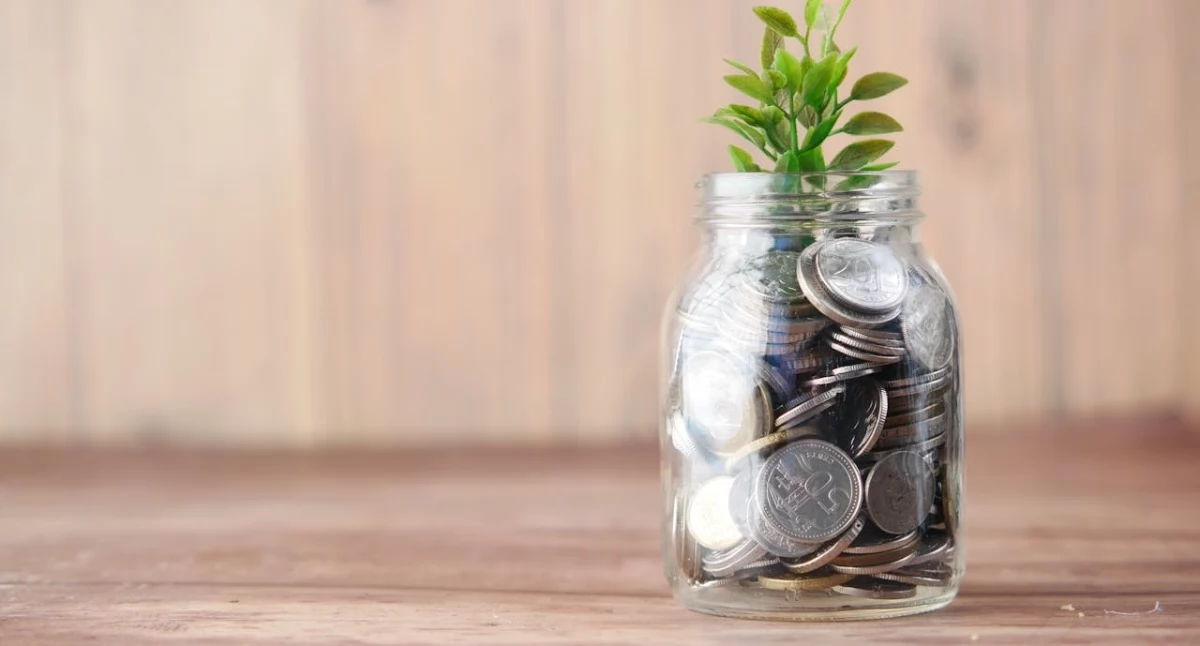 Źródło zdjęcia: pexels.com