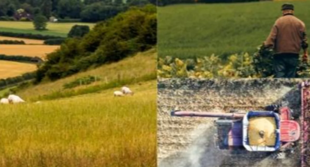 Rolnictwo, Lubań Spotkanie projektu ustawy zakresie produkcyjnego charakteru obszarów wiejskich - zdjęcie, fotografia