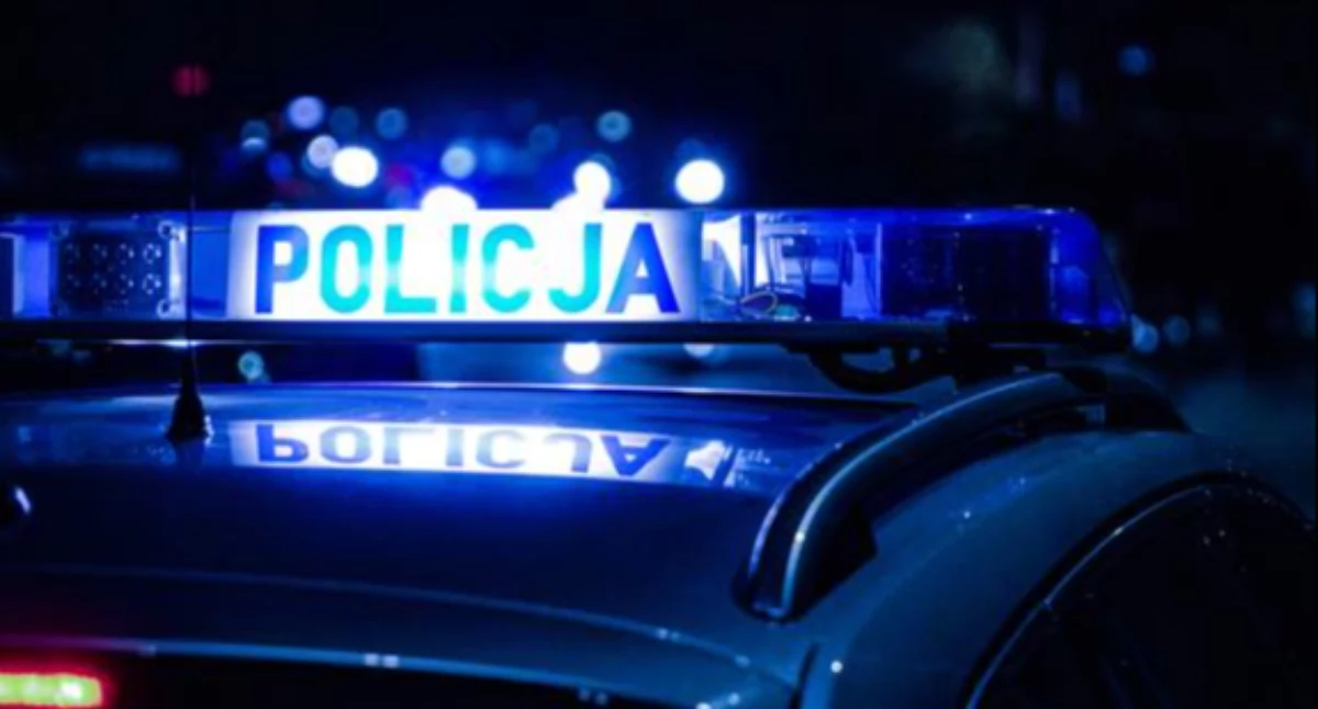 Kronika policyjna, Alarm Miszewie mężczyzna oferował podwiezienie dzieci policja - zdjęcie, fotografia
