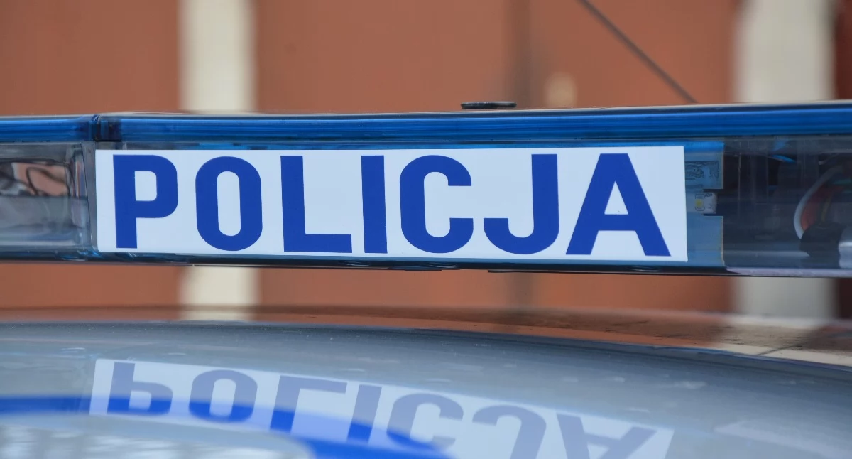 Kronika policyjna, Uciekał przed policją ulicami Łapina Kartuskiego latek próbował zbiec także pieszo - zdjęcie, fotografia