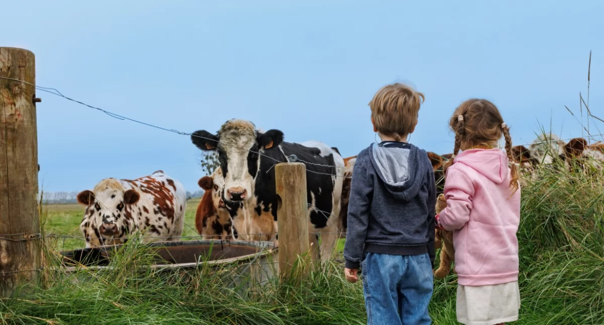 Rolnictwo, środki rolników Dofinansowanie rozwój zagród edukacyjnych - zdjęcie, fotografia