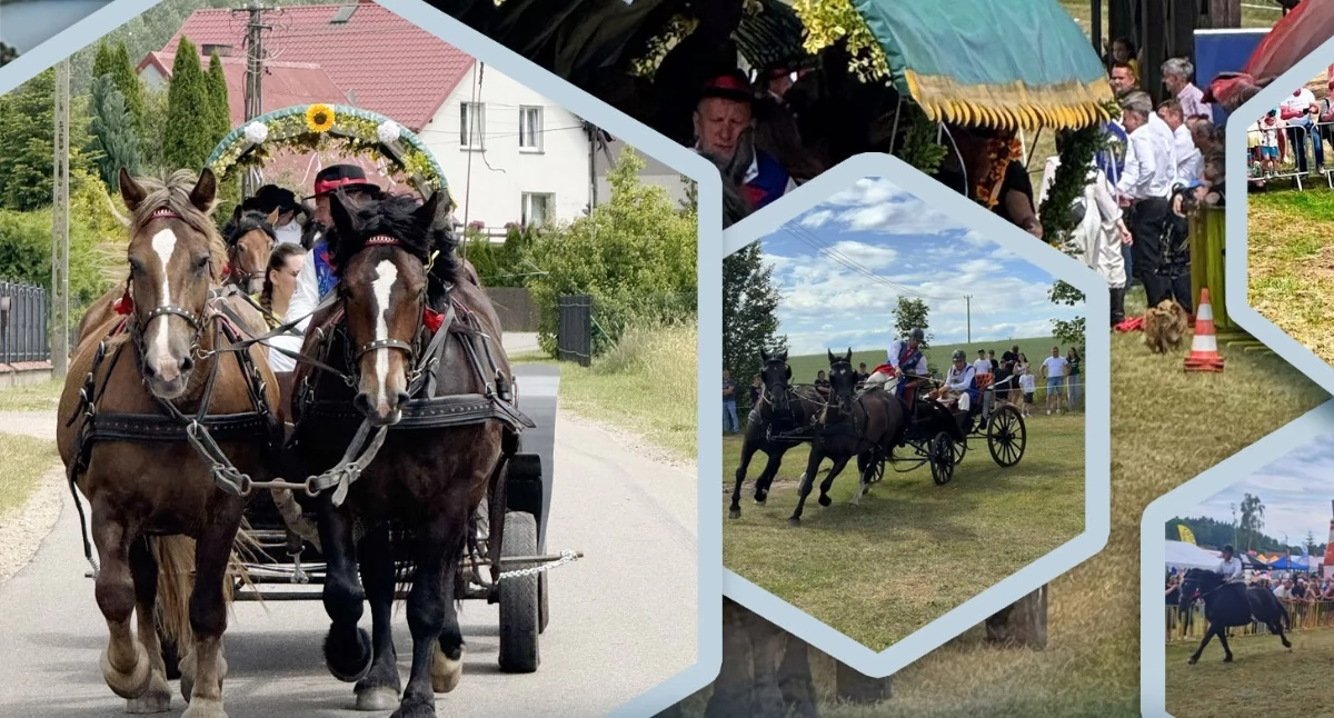 Zapowiedzi, Konie zawody zabawa wszystko podczas Wielkiej Parady Wozów Bryczek Szymbarku - zdjęcie, fotografia